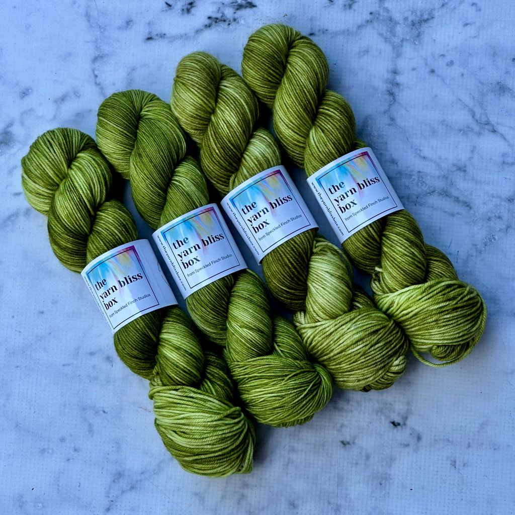 Yarn Bliss Box April 2025 (YARN ONLY) - For The Love Of Nature (tonal)