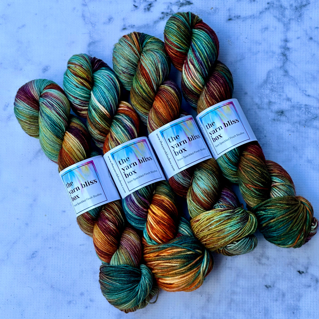 Yarn Bliss Box March 2025 (YARN ONLY) - Backyard Chickens (speckled/variegated)